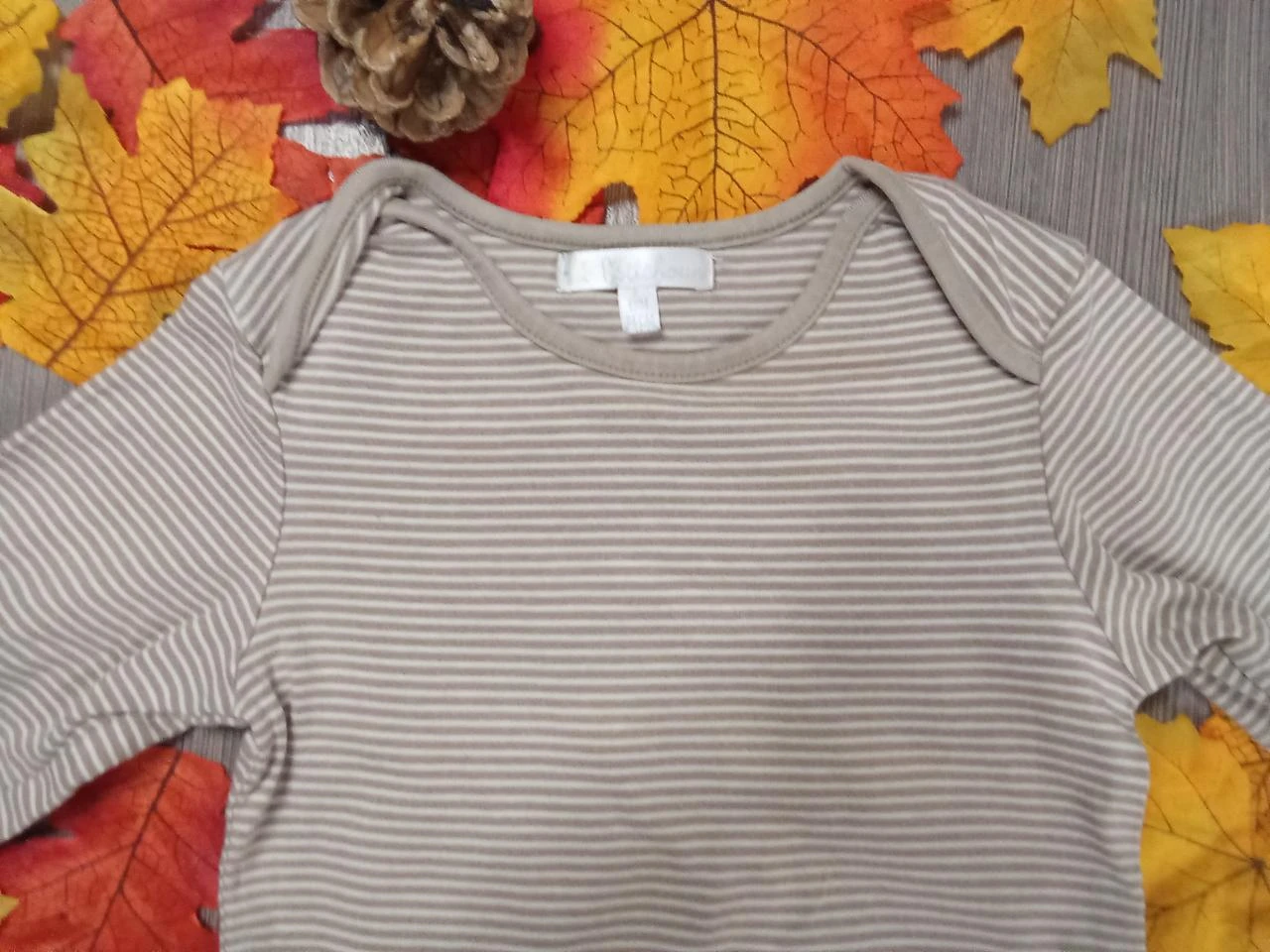 Conjunto 2 peças Kitchoun 12 meses – photo 5